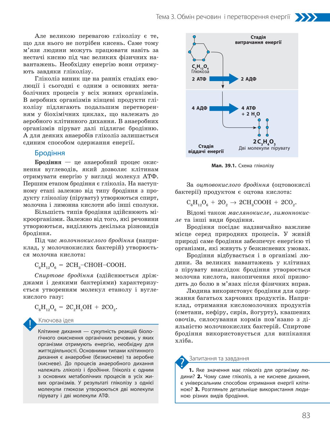 Мініатюра 83