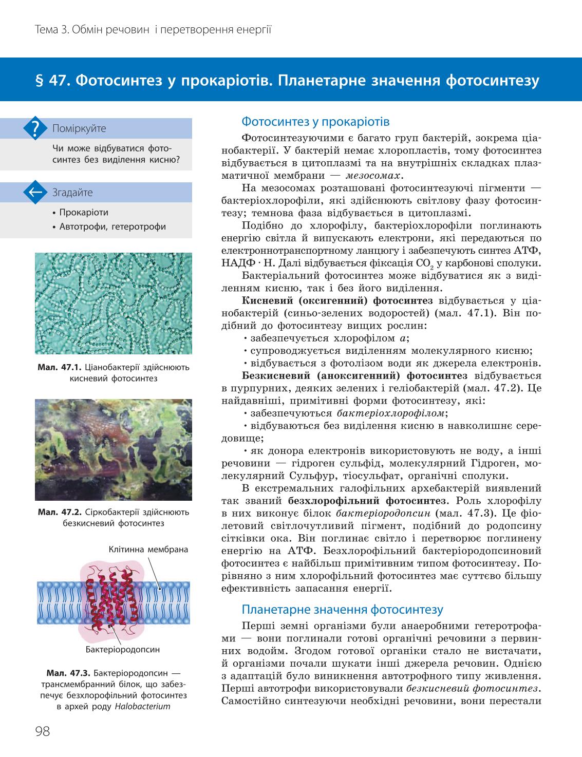 Мініатюра 98