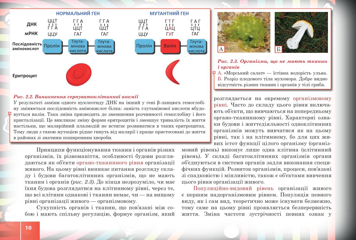 Мініатюра 10