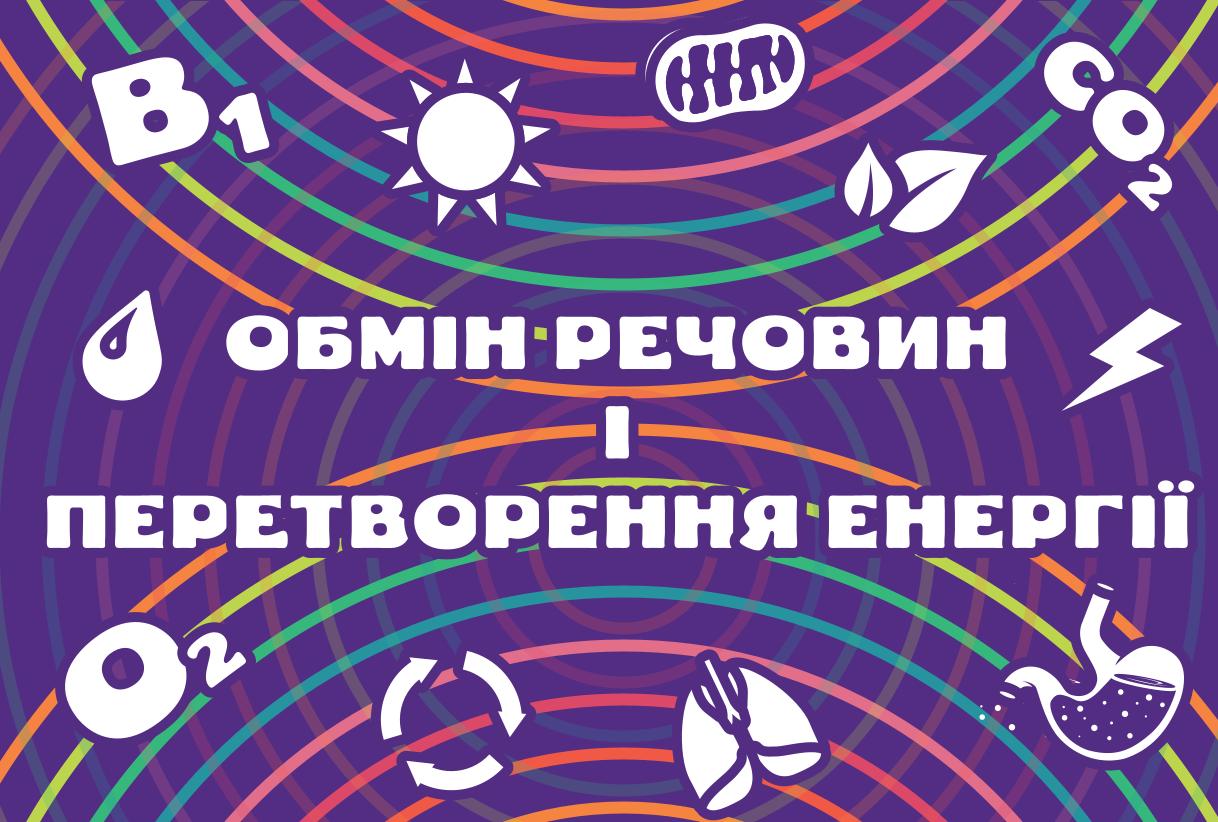 Мініатюра 103