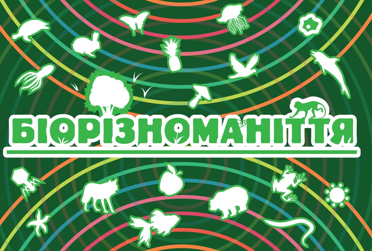 Мініатюра 20