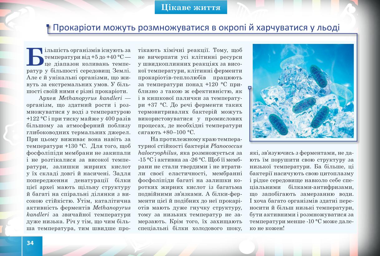 Мініатюра 34