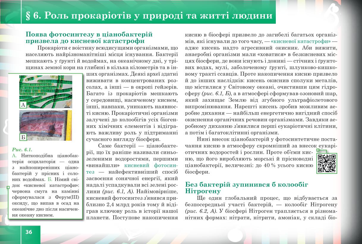 Мініатюра 36