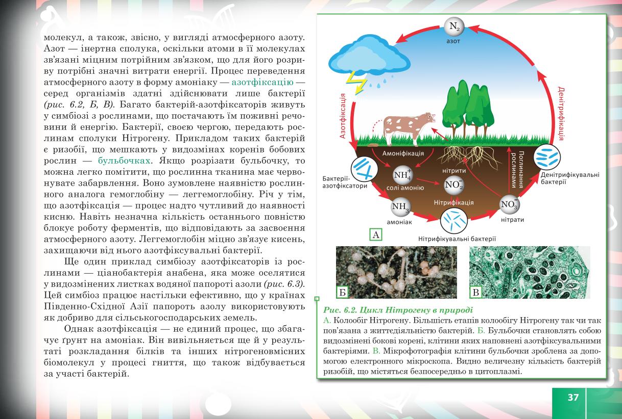 Мініатюра 37