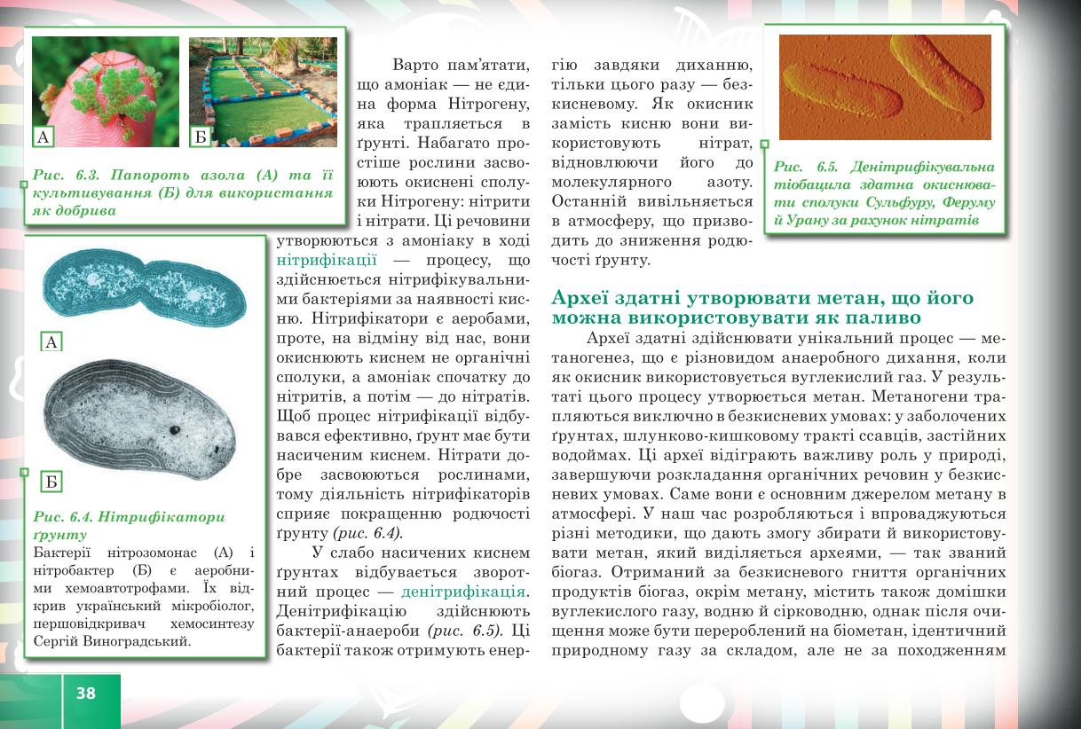 Мініатюра 38