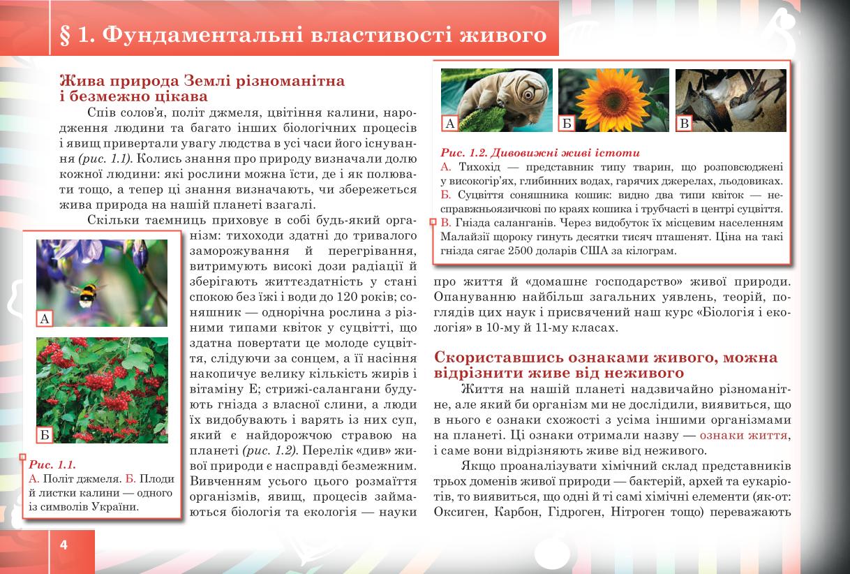 Мініатюра 4