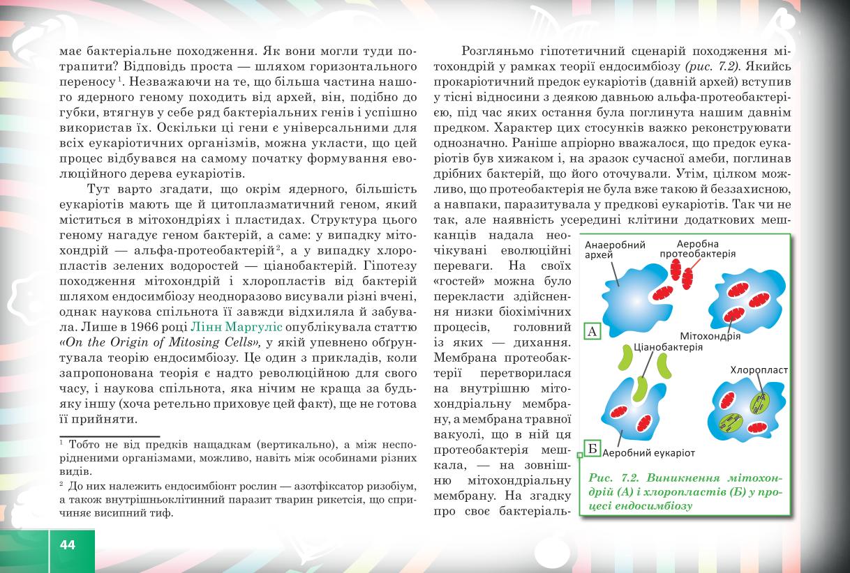 Мініатюра 44