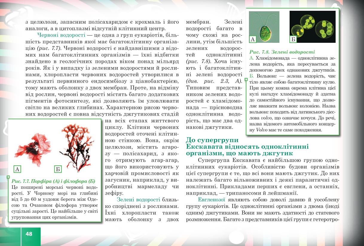 Мініатюра 48