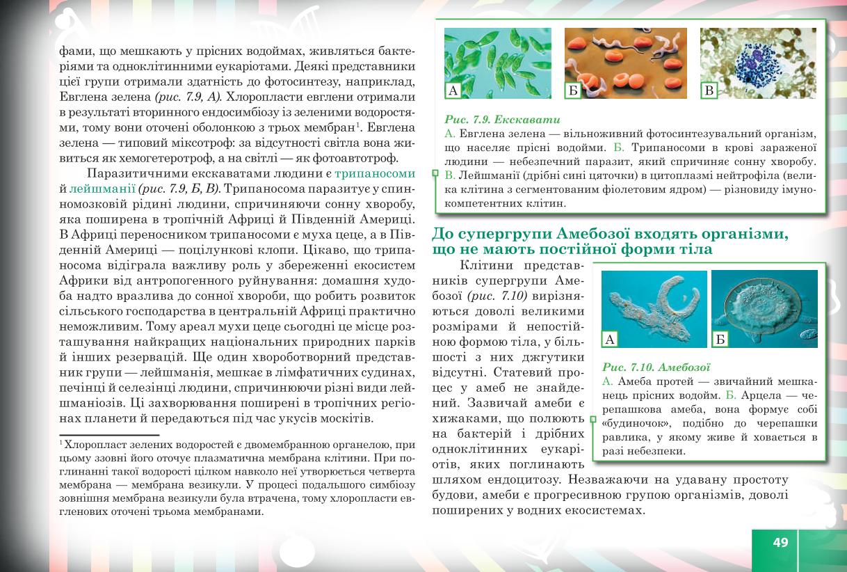 Мініатюра 49