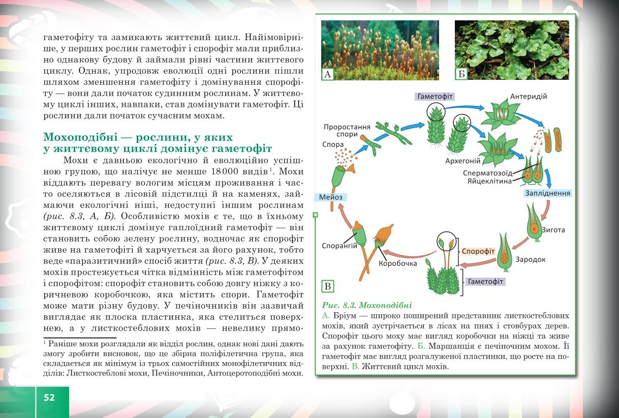 Мініатюра 52