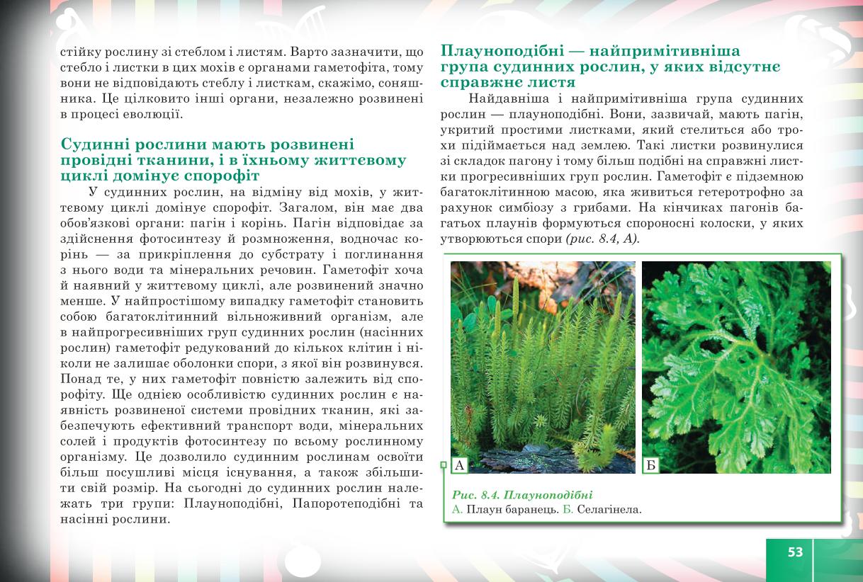 Мініатюра 53