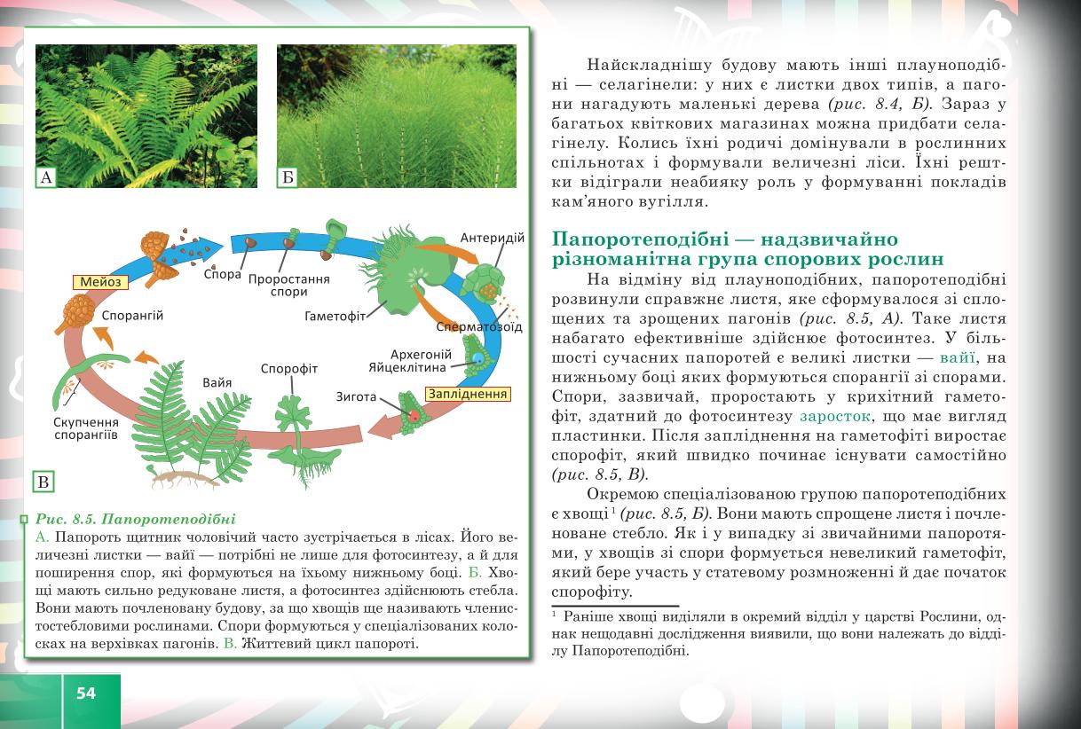Мініатюра 54