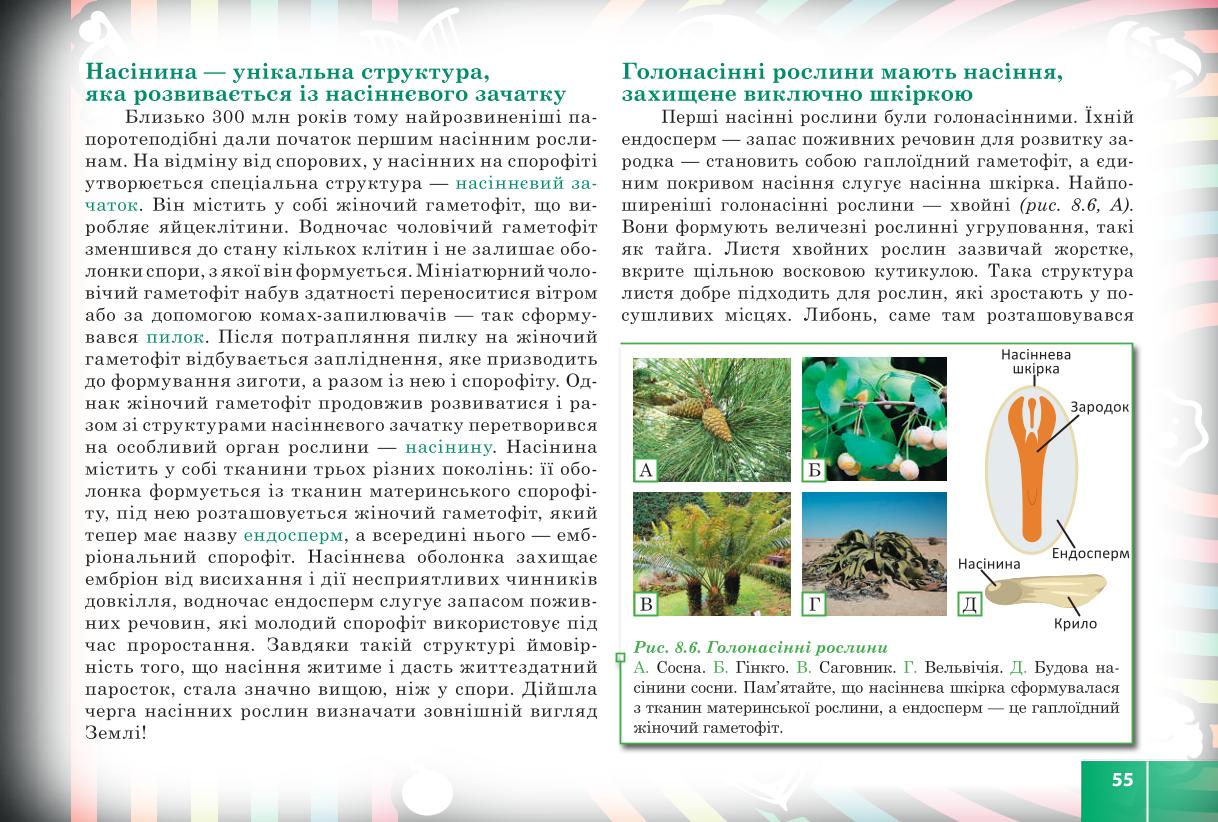 Мініатюра 55