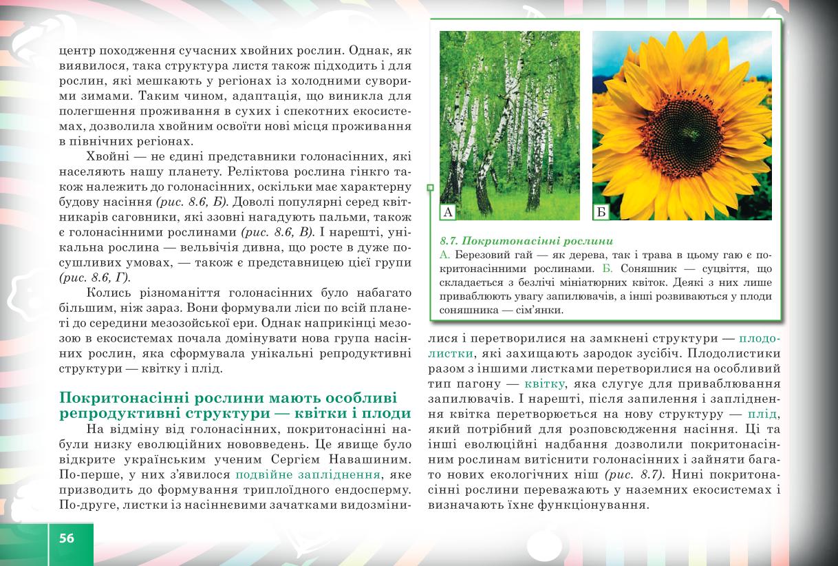 Мініатюра 56