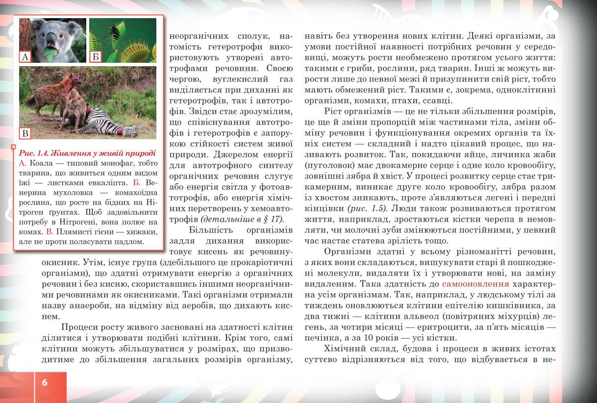 Мініатюра 6