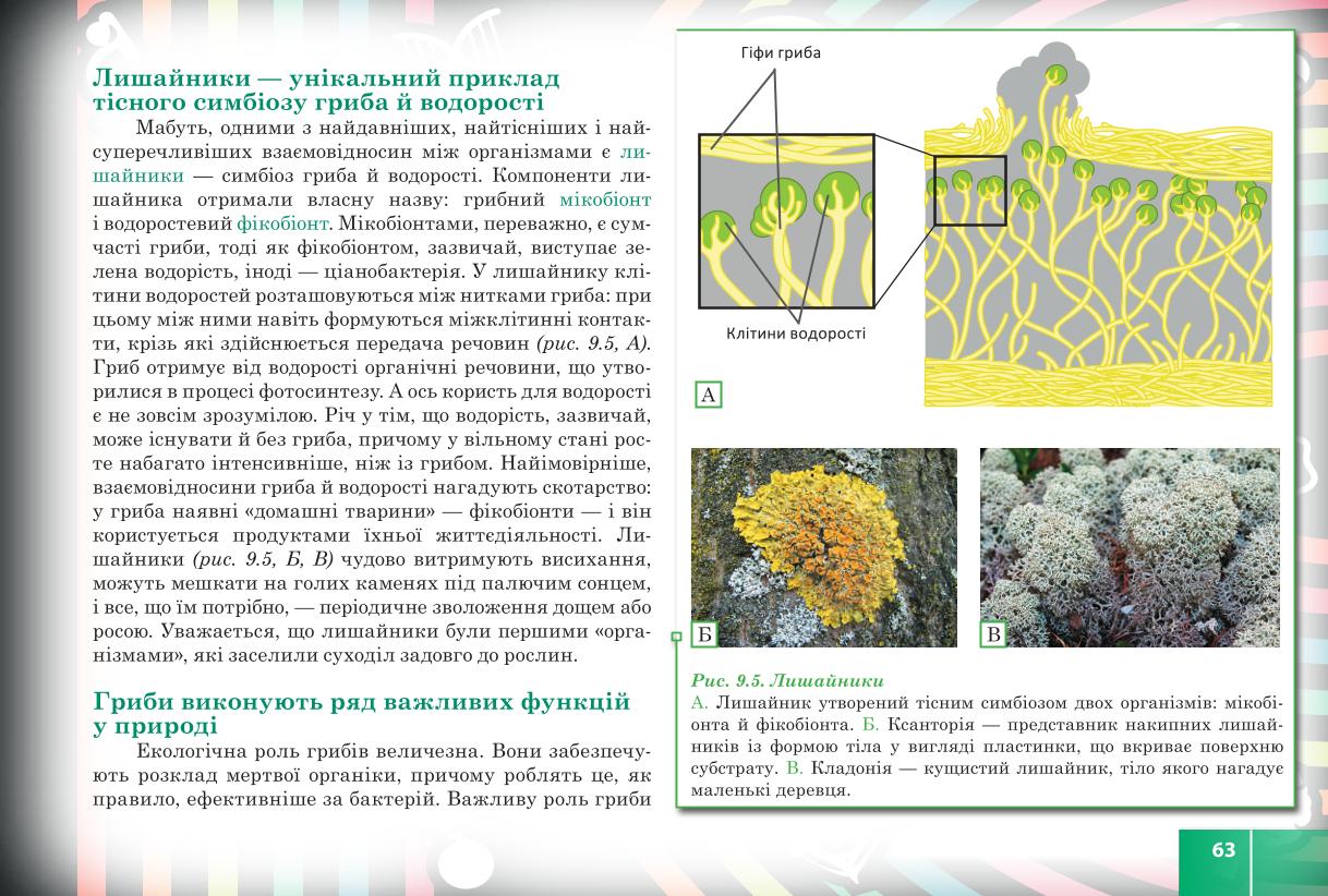 Мініатюра 63