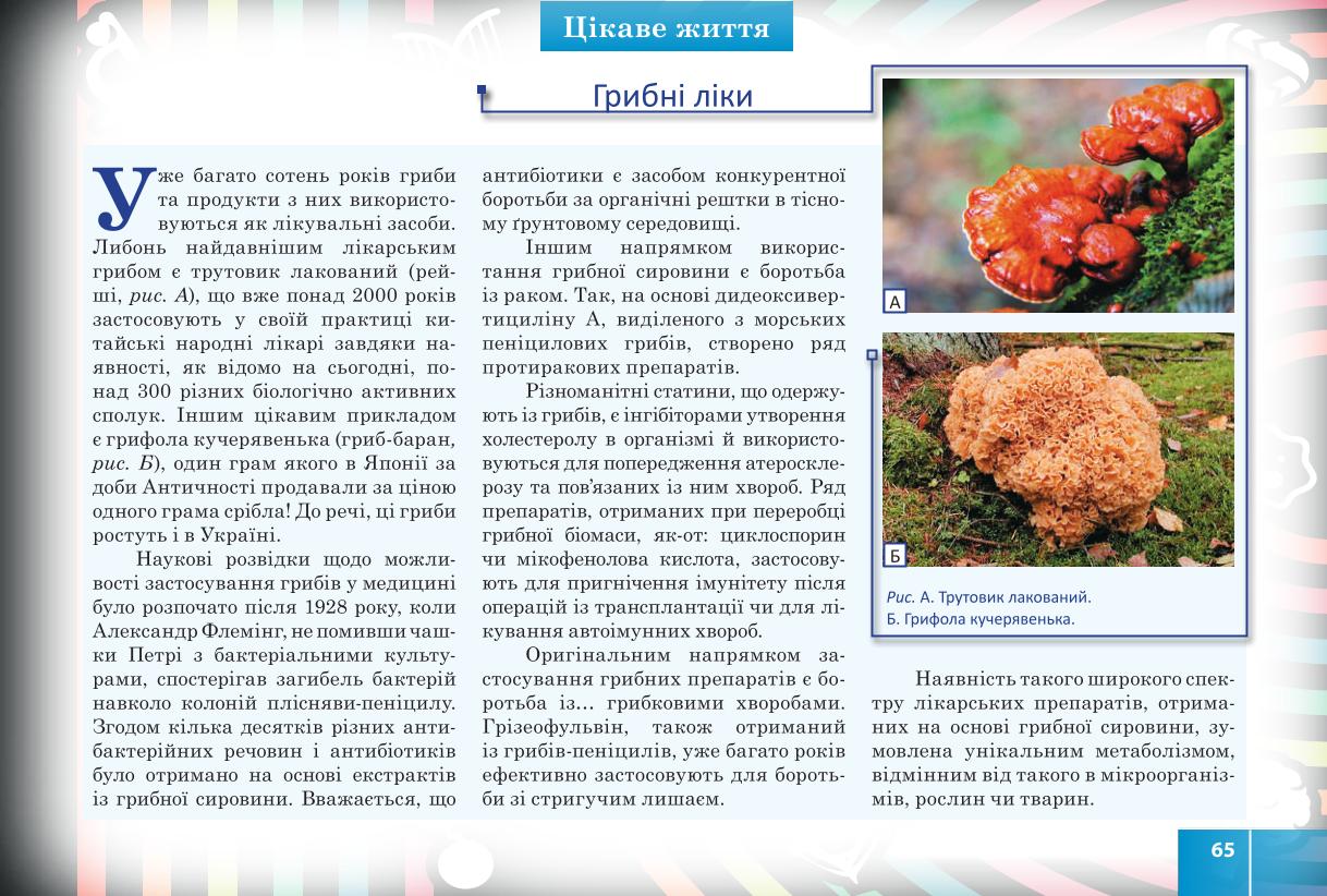 Мініатюра 65