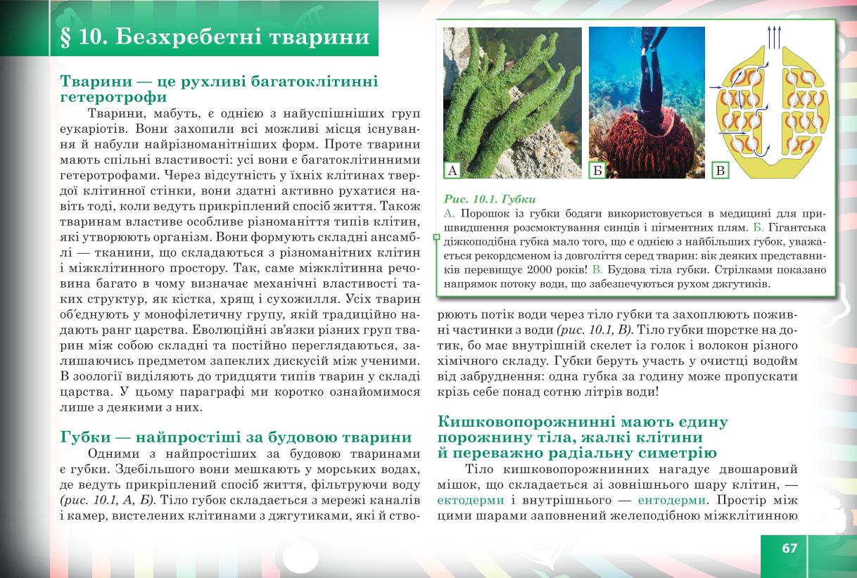 Мініатюра 67