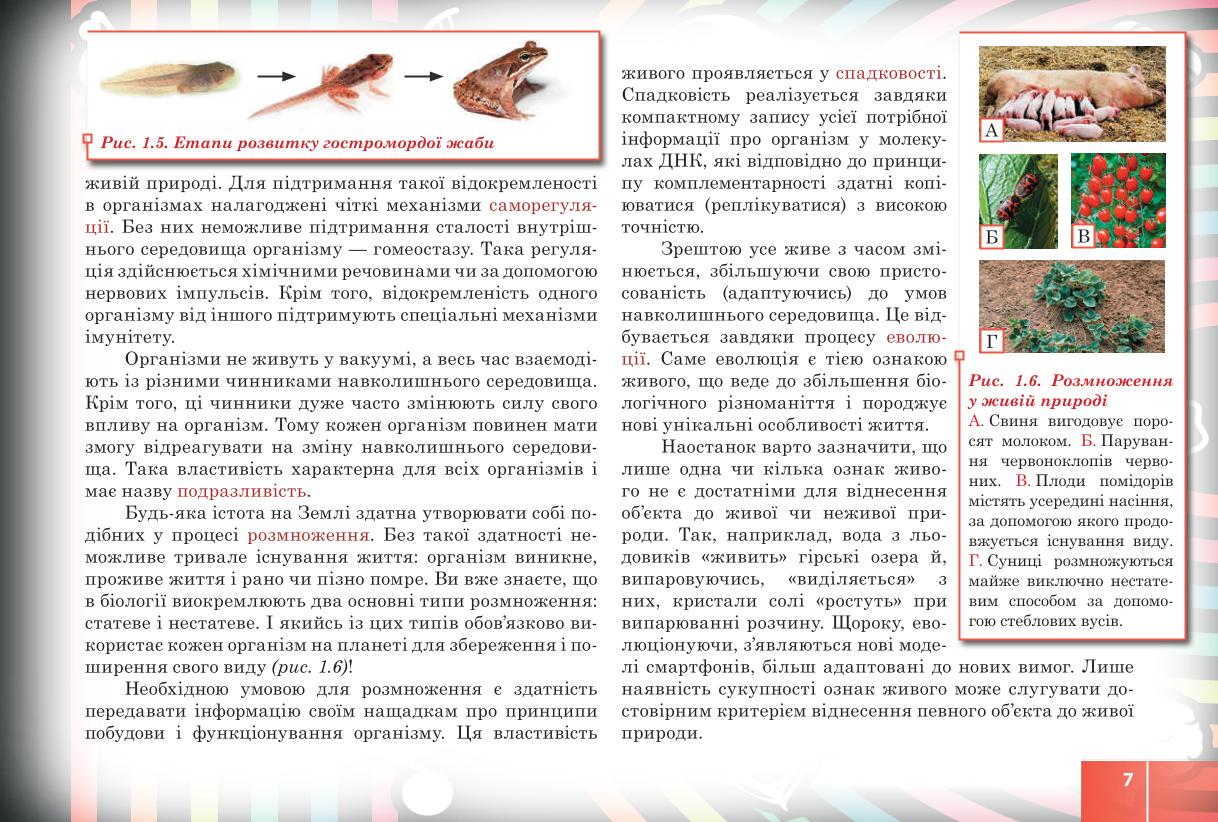 Мініатюра 7