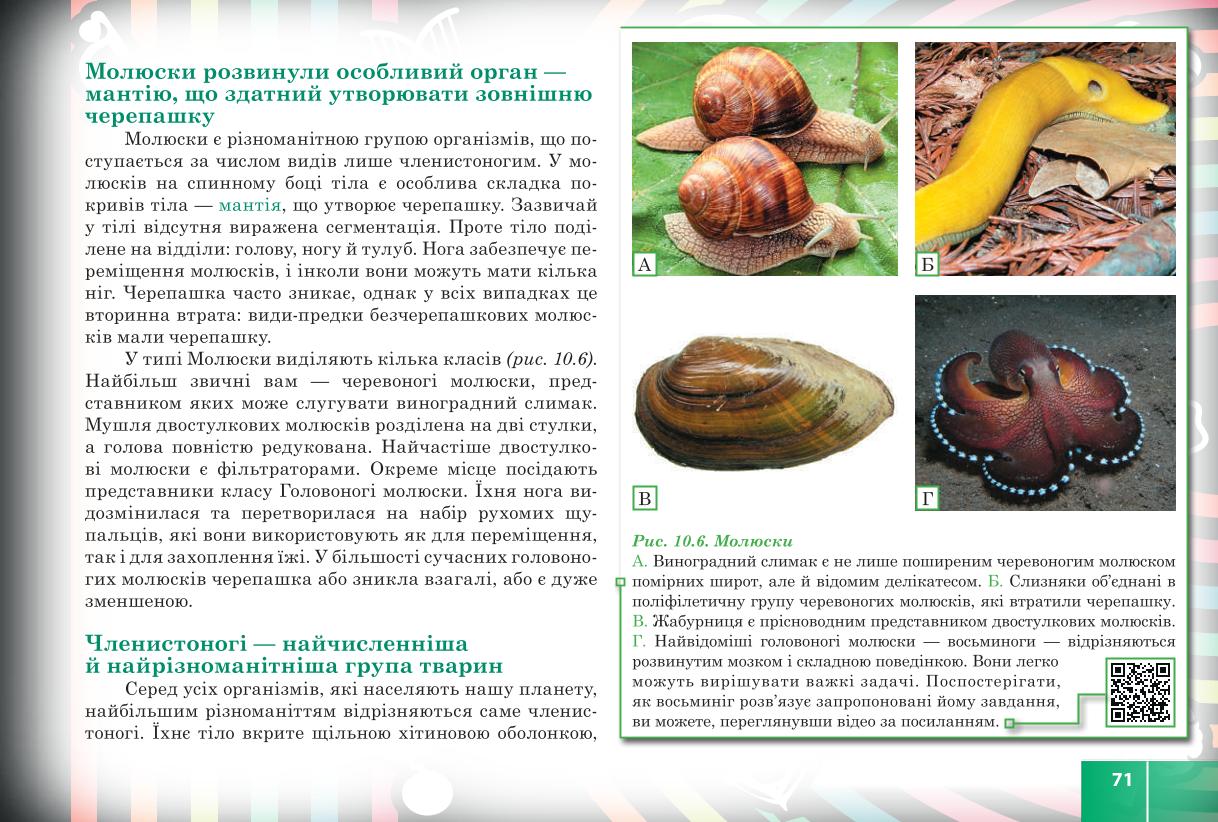 Мініатюра 71
