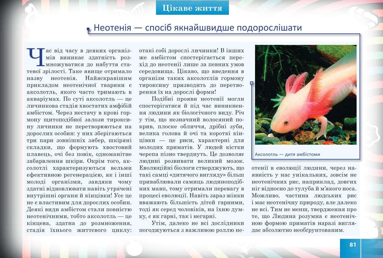 Мініатюра 81