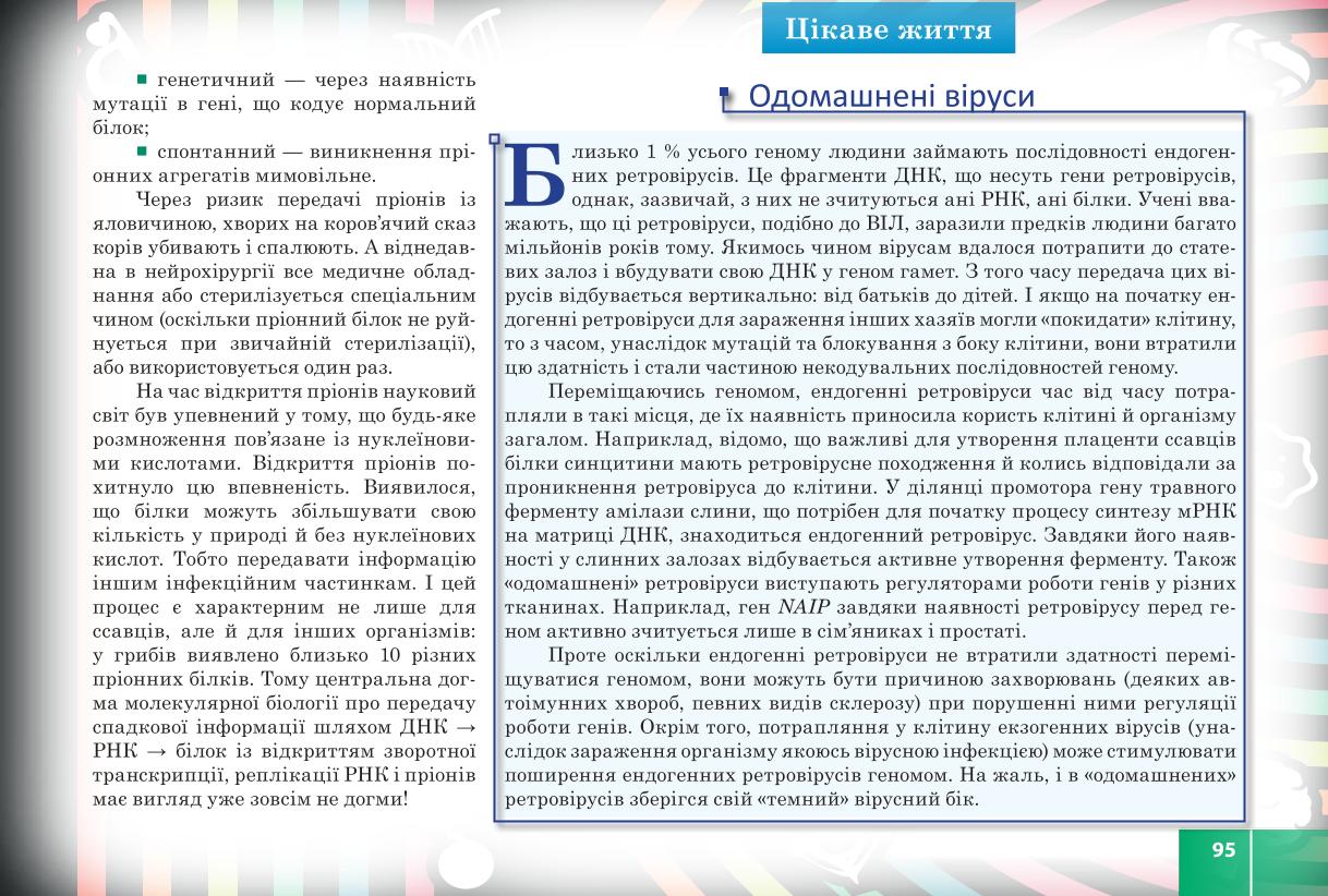 Мініатюра 95