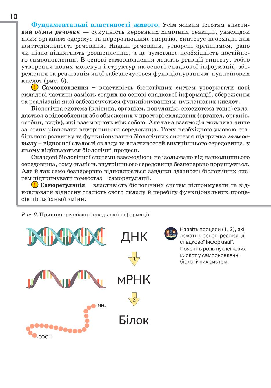 Мініатюра 10
