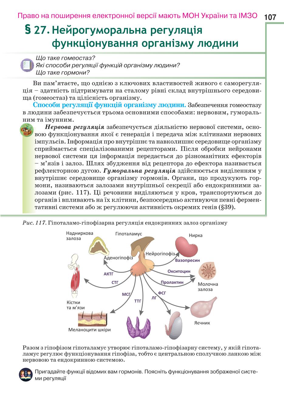 Мініатюра 107