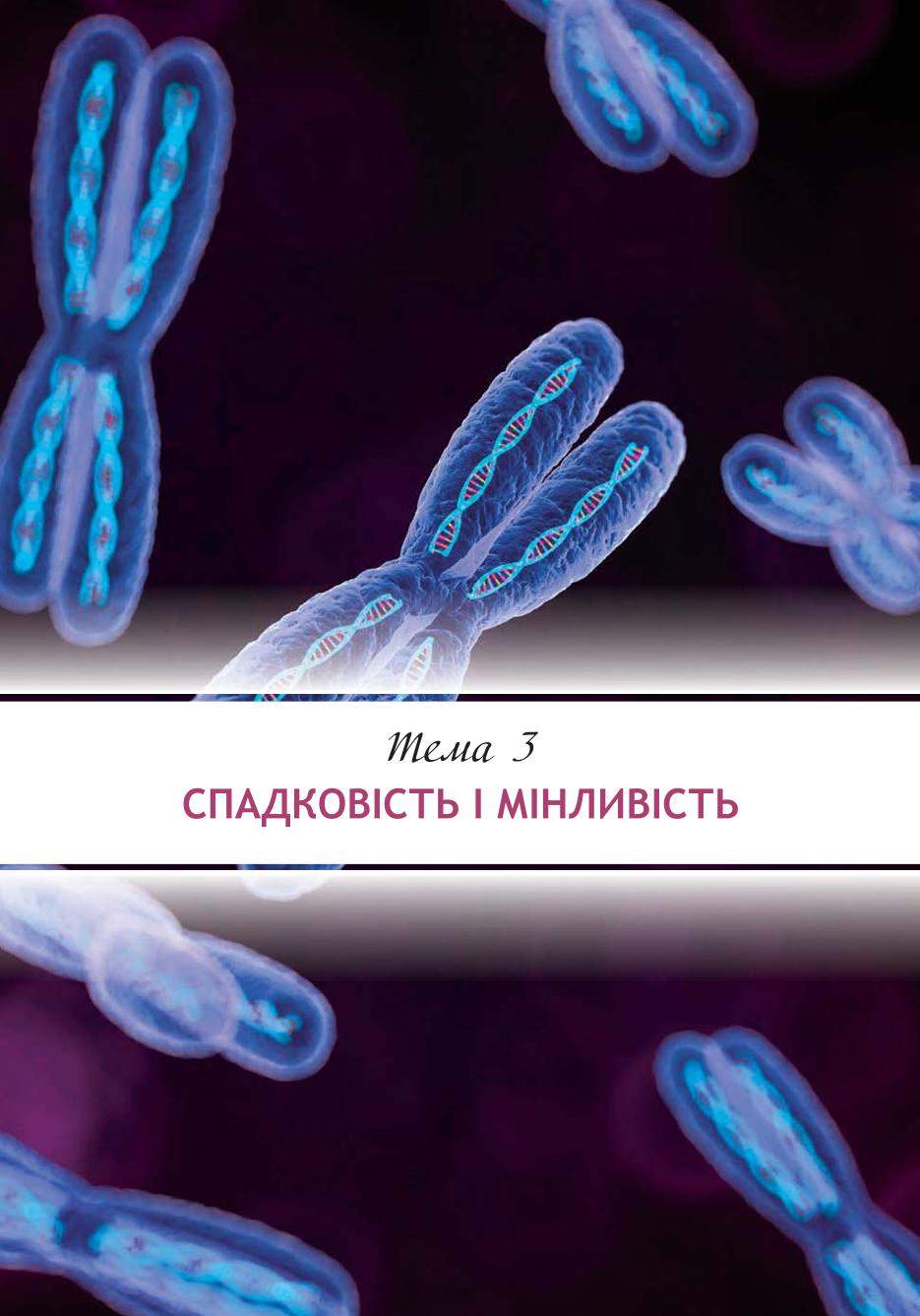Мініатюра 113