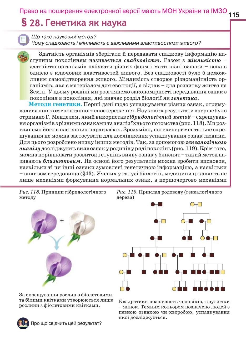 Мініатюра 115