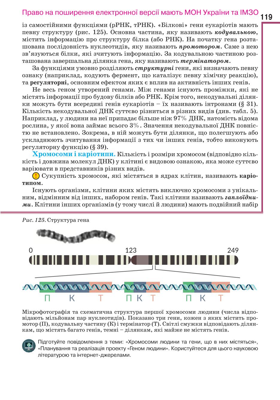 Мініатюра 119