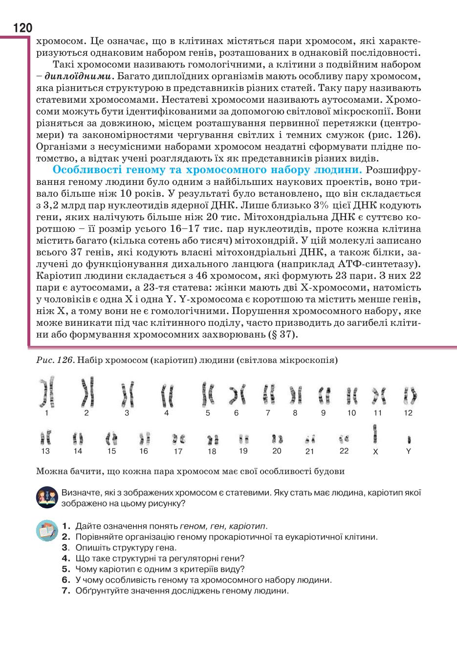 Мініатюра 120
