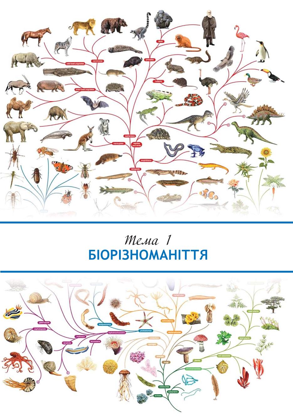 Мініатюра 17