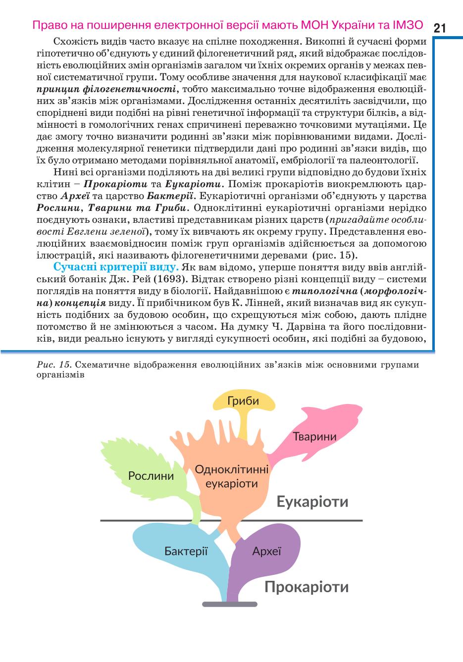 Мініатюра 21