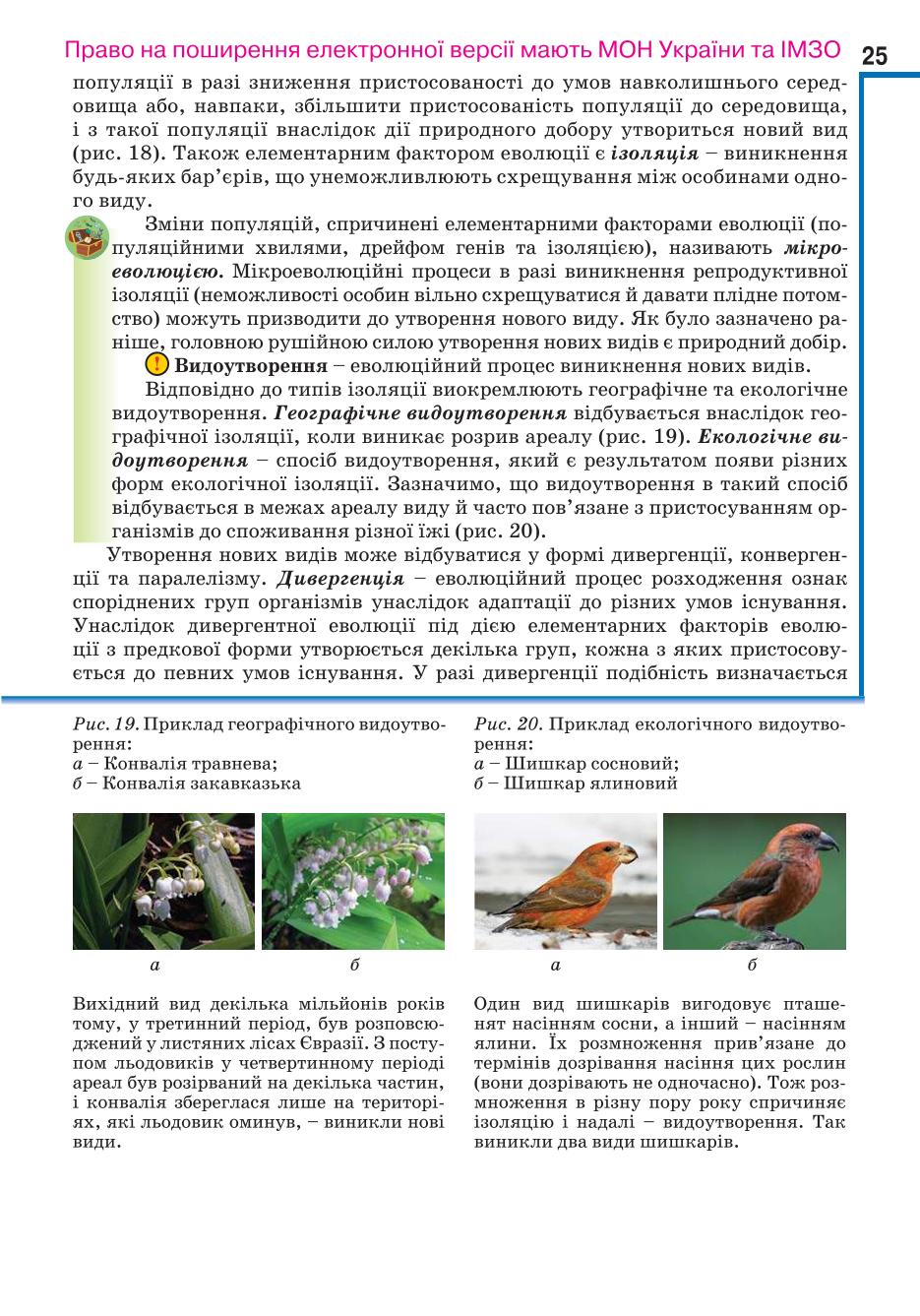 Мініатюра 25