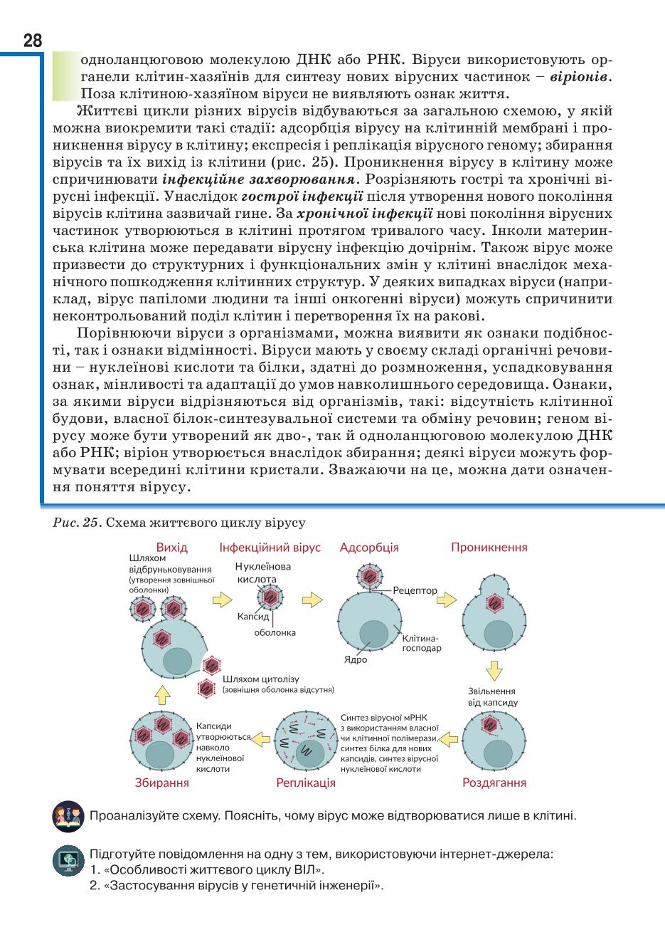 Мініатюра 28