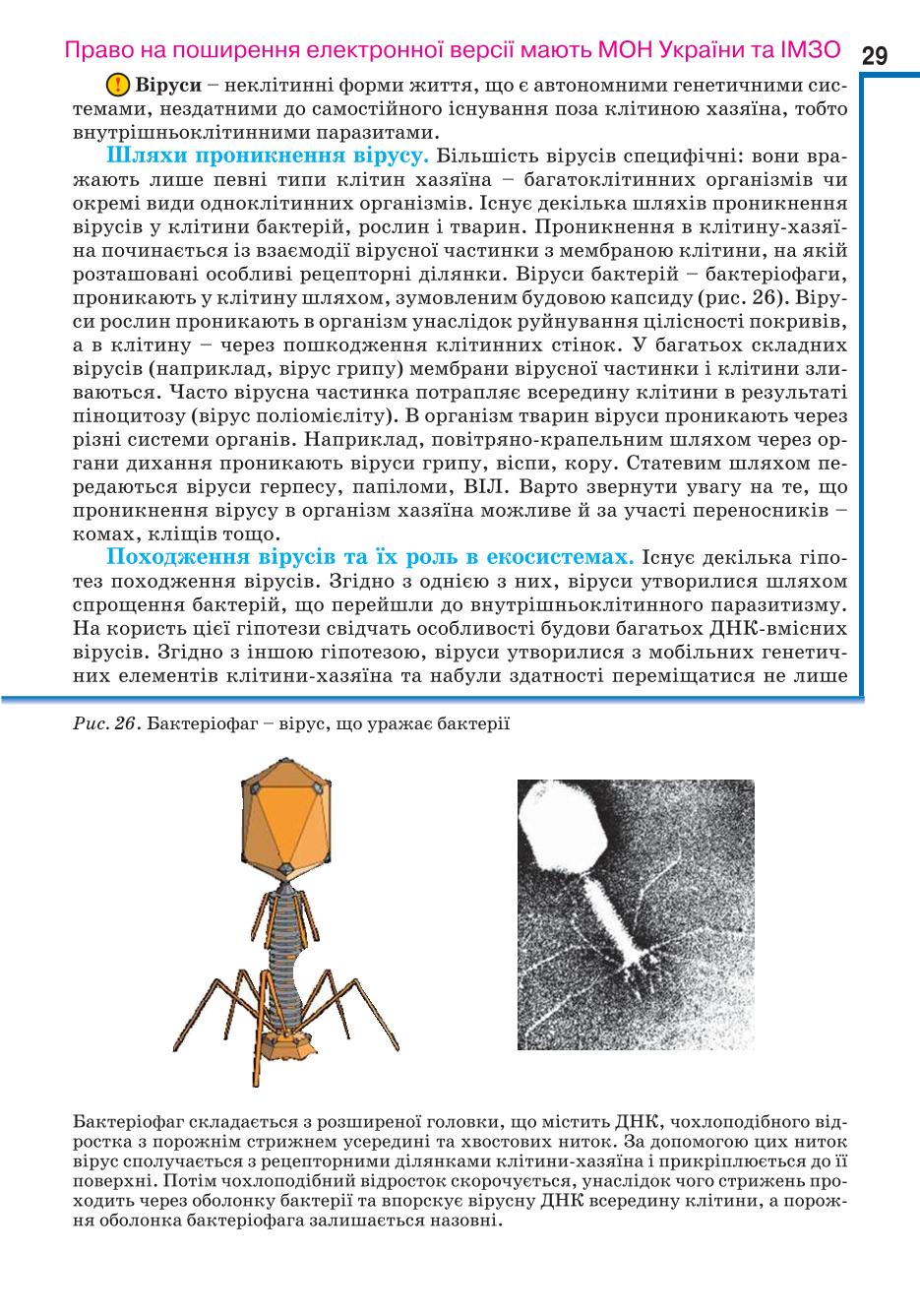 Мініатюра 29
