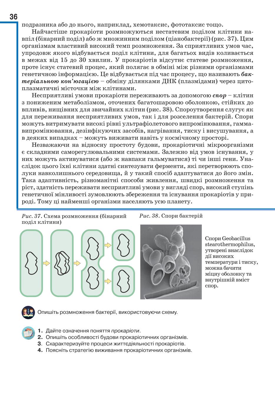 Мініатюра 36