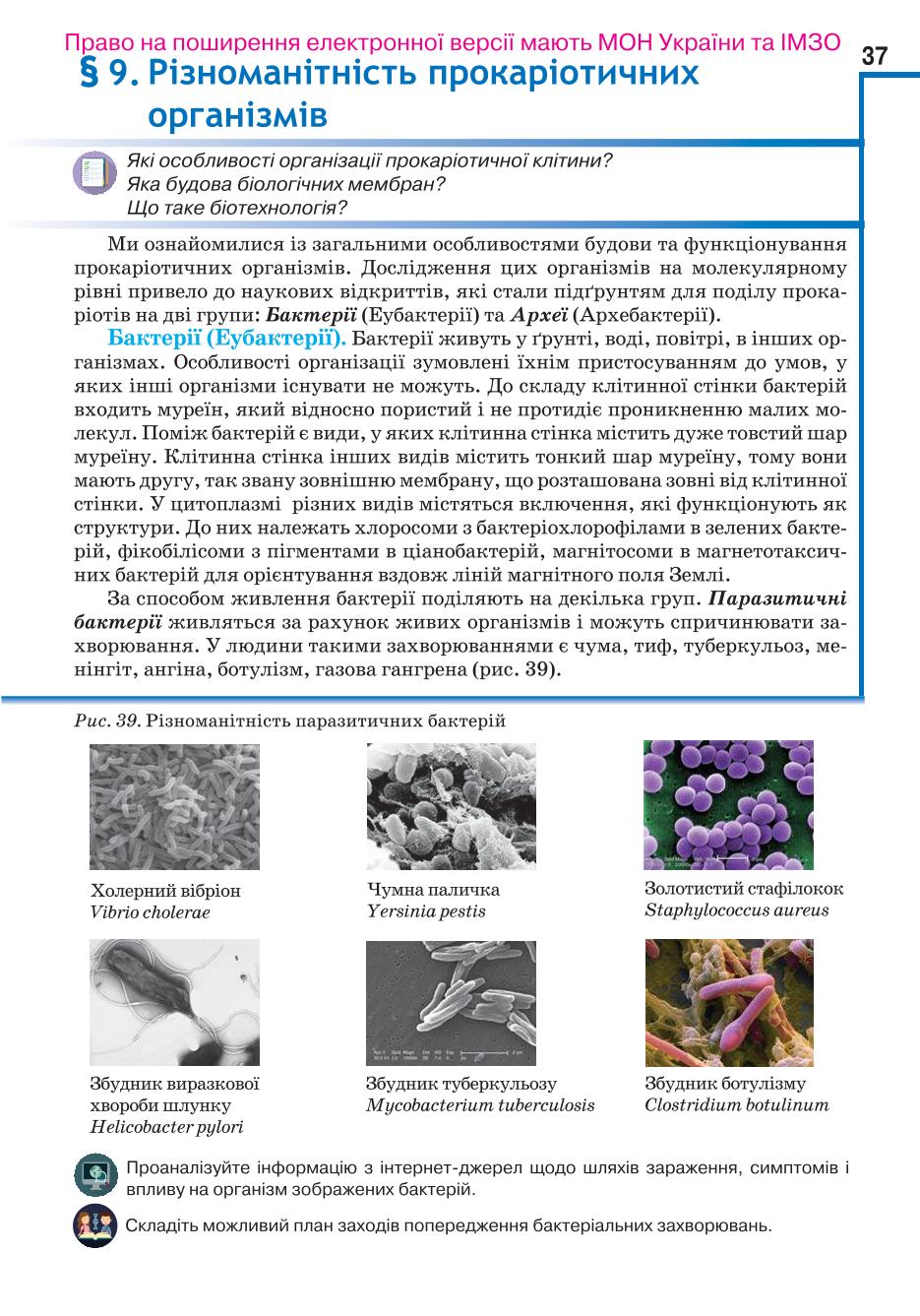 Мініатюра 37