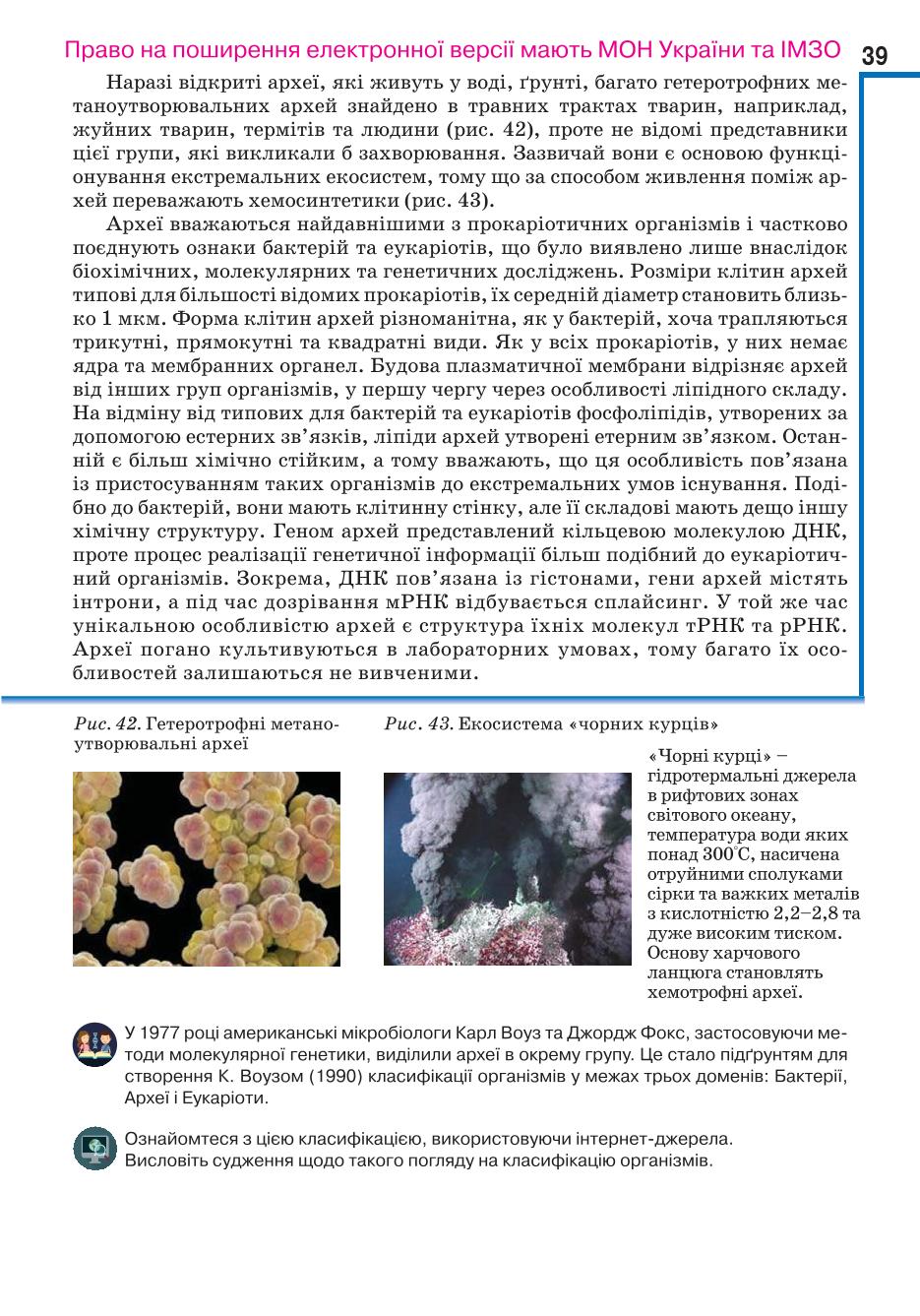 Мініатюра 39