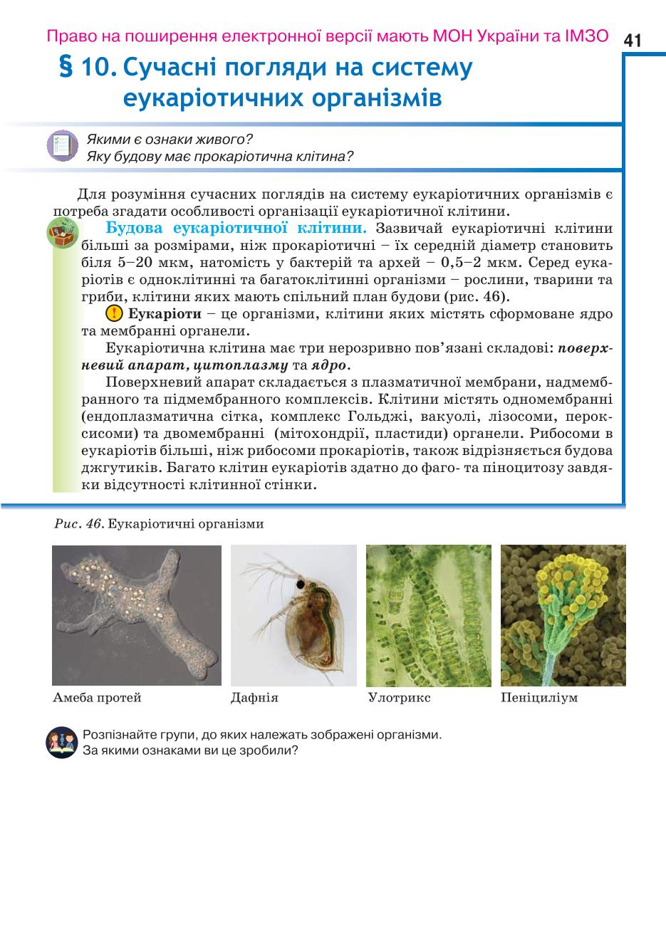 Мініатюра 41