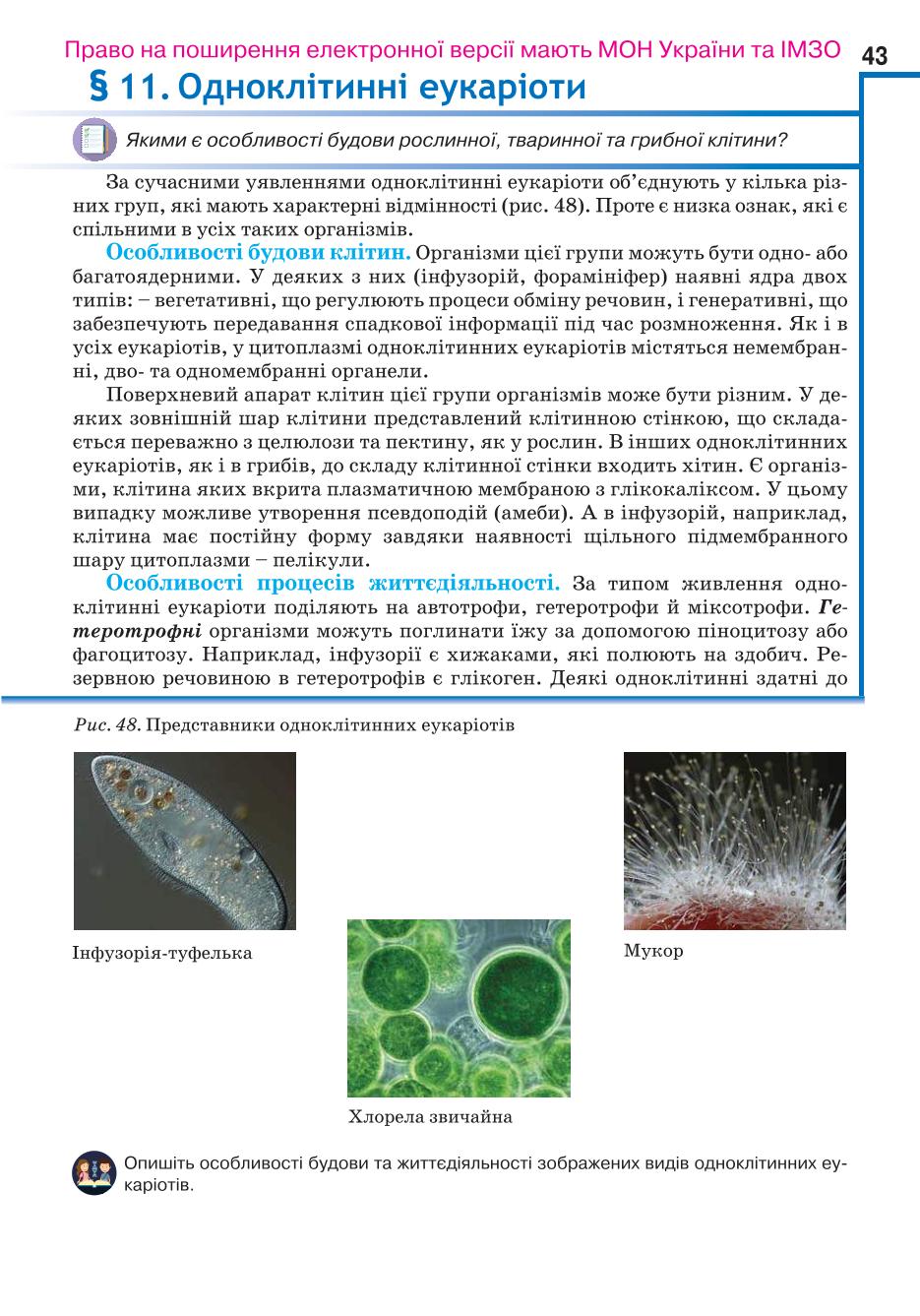 Мініатюра 43