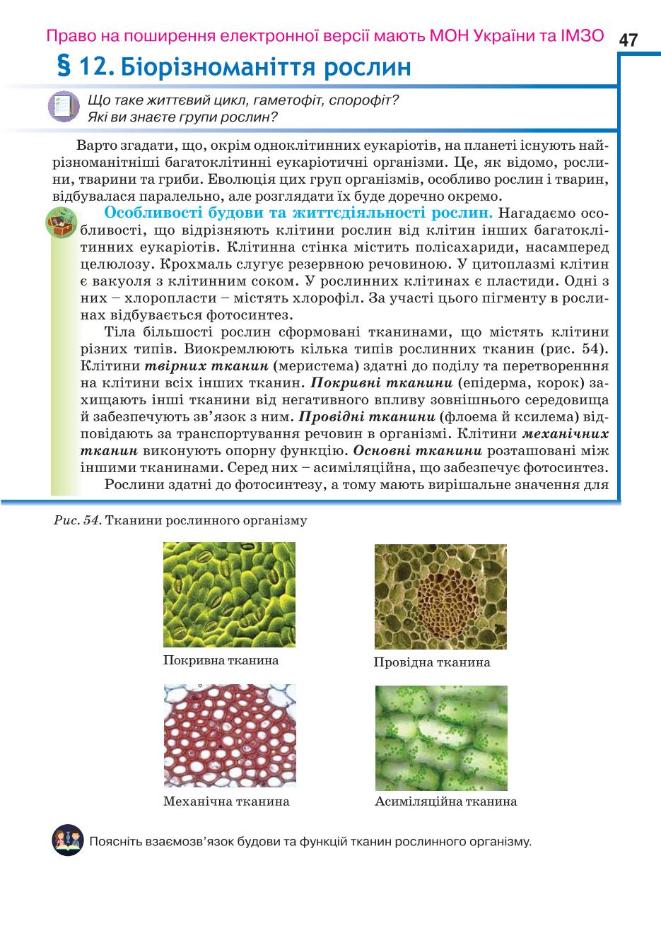 Мініатюра 47