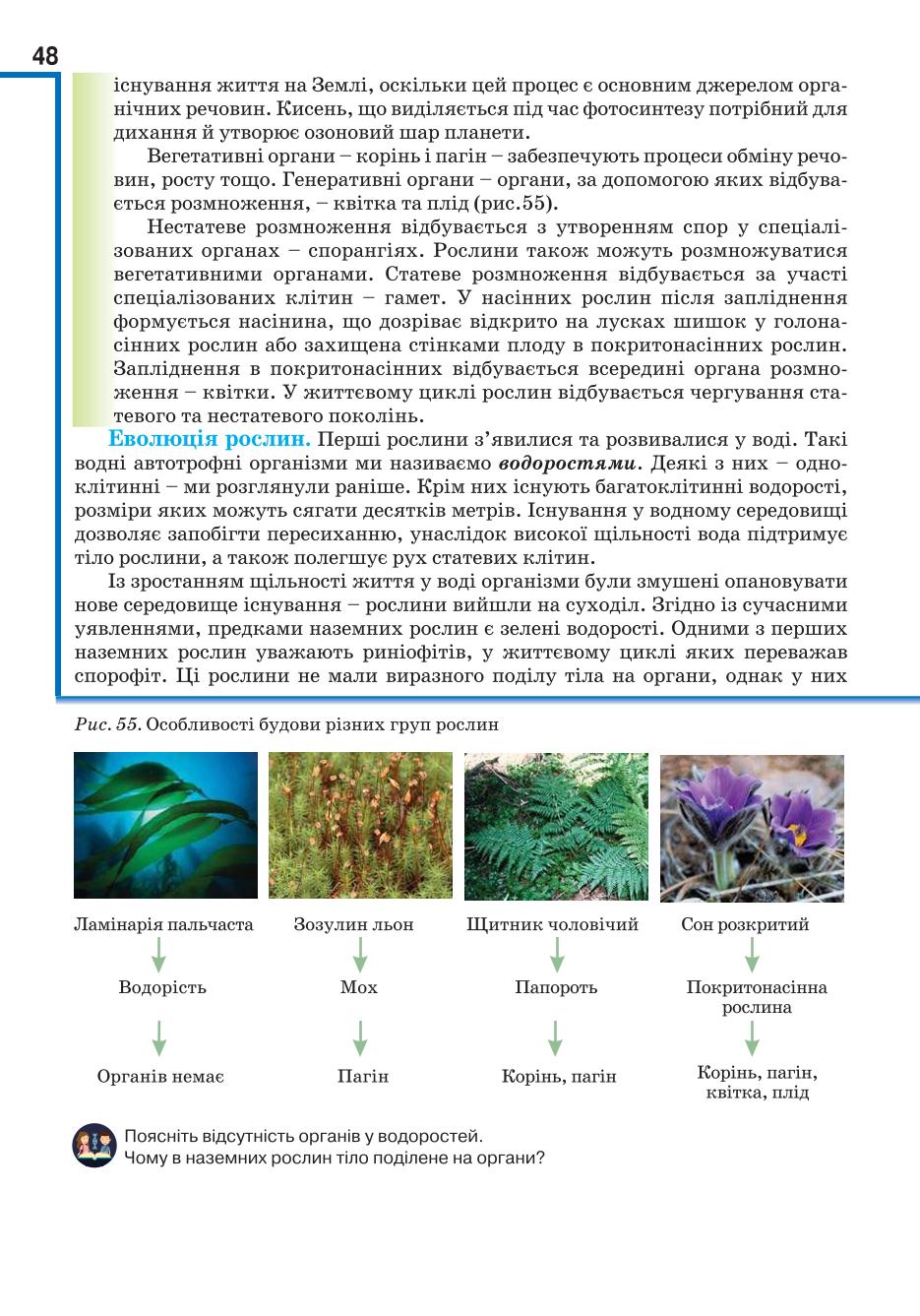 Мініатюра 48