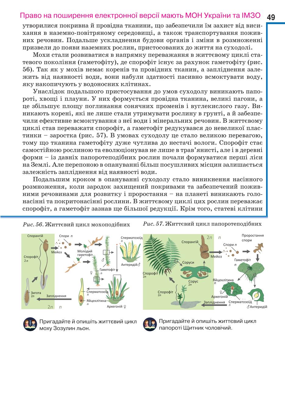 Мініатюра 49