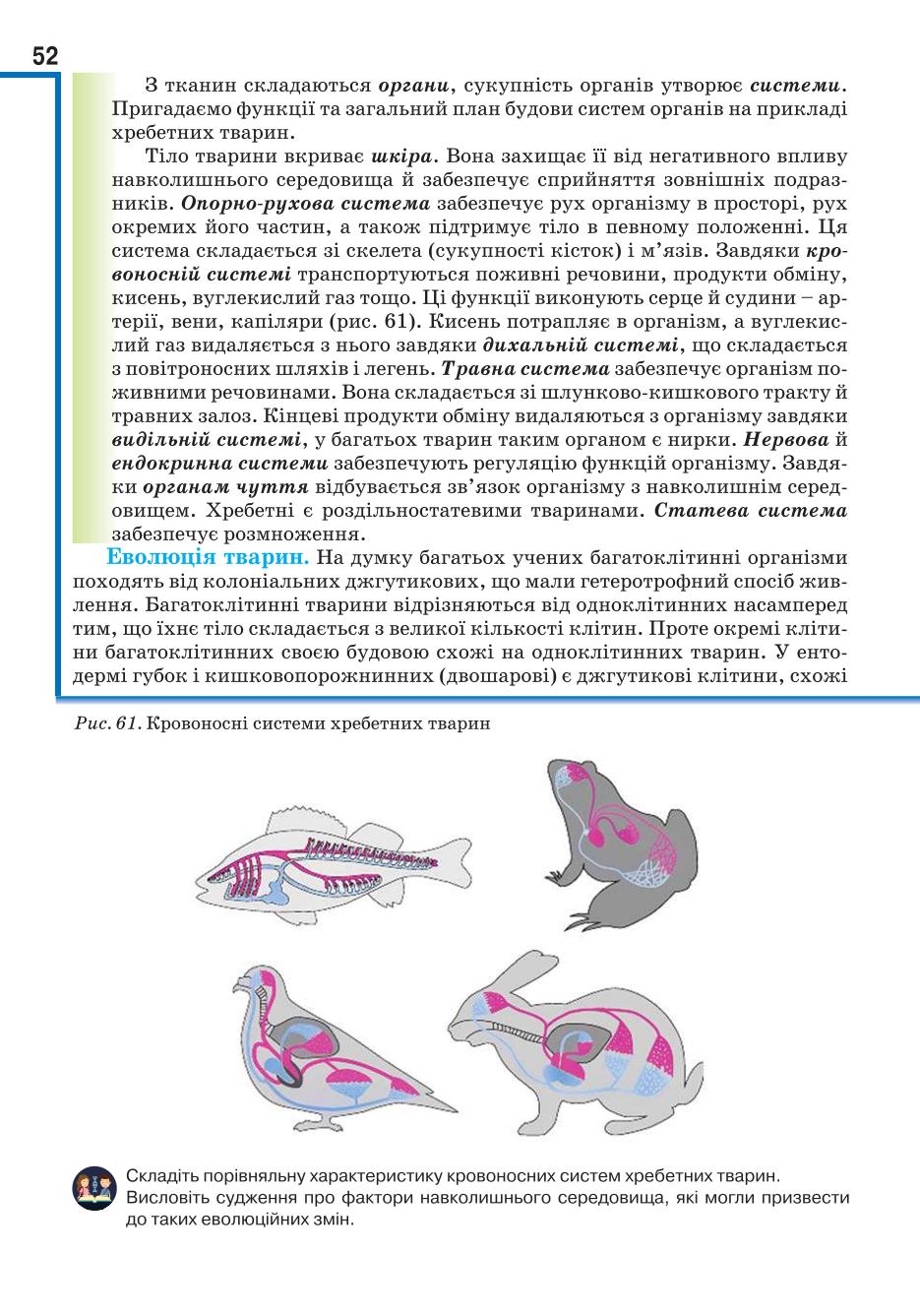 Мініатюра 52
