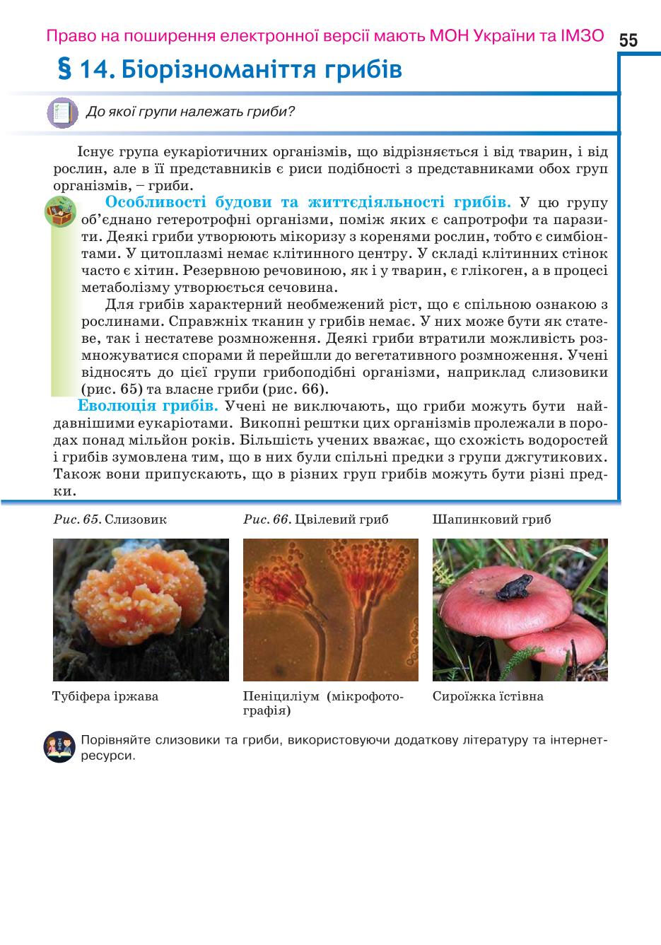 Мініатюра 55