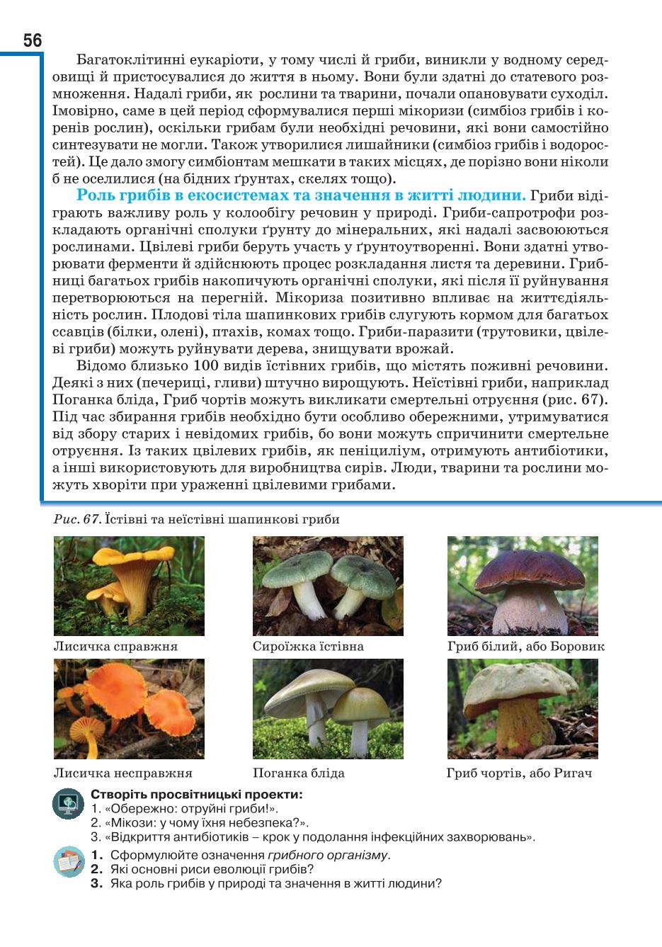 Мініатюра 56