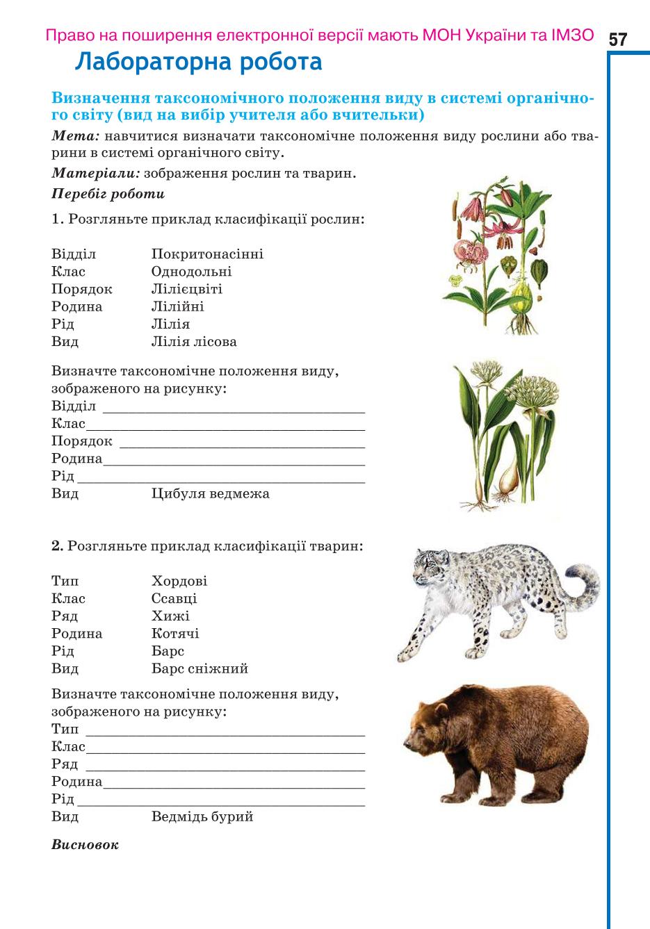 Мініатюра 57