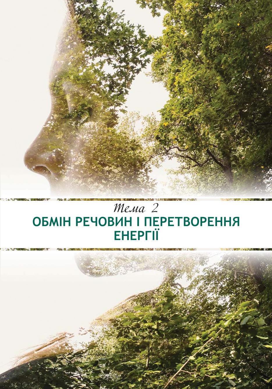 Мініатюра 63